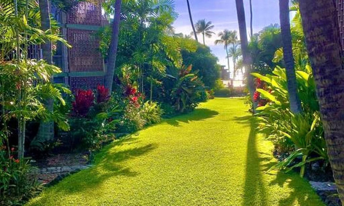 Kailua-Kona Apartment | Enjoy the Sunset Ocean Front 1BR Apt-pool On-site