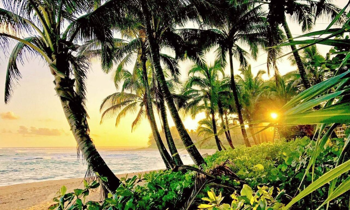 Kamuela Condo | Islands at Mauna Lani | Ocean View 2 BR Sleeps 4 | Car Incl. w/6+ Nights | IML-E4 by KBM
