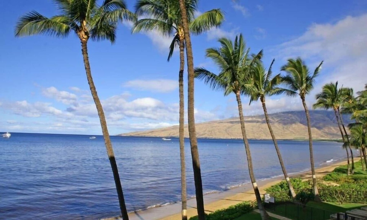 Kihei Condo | Kihei Beach, #102 2 Bedroom Condo by RedAwning