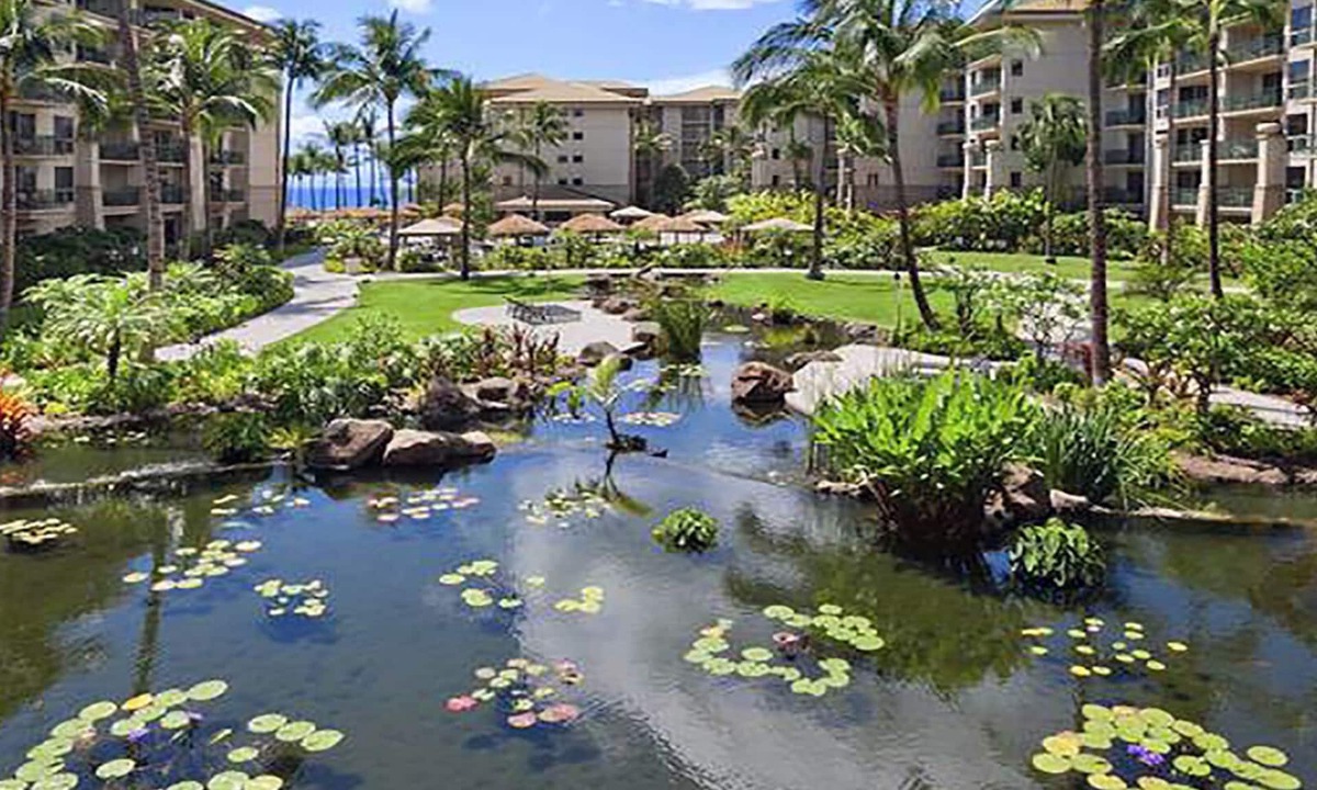 Kaanapali Resort | Ocean View! AVAIL Sept 24th - Oct 1st - Westin Ka'anapali Ocean Resort Villas