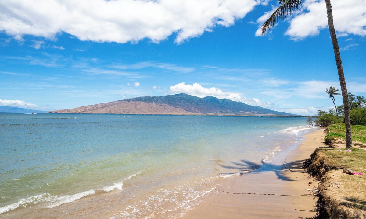Kihei Apartment | Romannas Golden Ray Oceanfront Condo