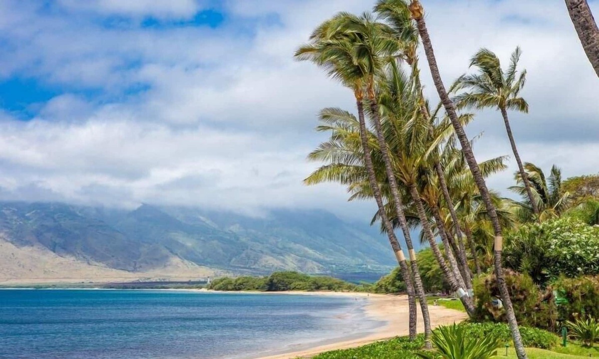 Kihei Condo | Sugar Beach Resort, #121 1 Bedroom Condo by RedAwning