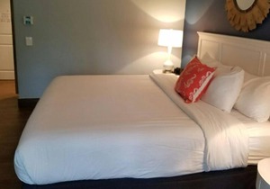 Making The Best Memories Along The Way! 2 Comfortable Units, Pool, Free Parking in Marathon