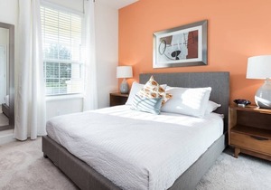 New modern villa near Disney in Clermont