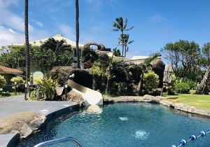 Ocean View Room, Spectacular Beachfront Resort, 4 pools, Restaurants on site