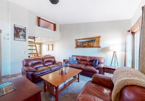 Pitkin Townhome B1 in Frisco