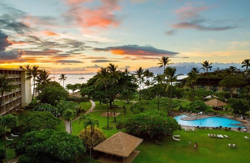 Kaanapali Hotel | Breathtaking Oceanfront Views! 4 Units, Minutes to Pacific Whale Foundation
