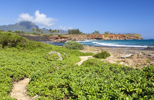 Poipu House | Villa Kai Lani By Parrish Kauai - stunning oceanfront home w/pool, spa & AC has