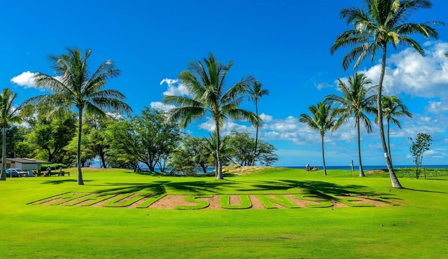 10% OFF AUGUST 7nt stays. Remodeled Kihei Oceanfront Property, AC, Pool & BBQ in Kihei
