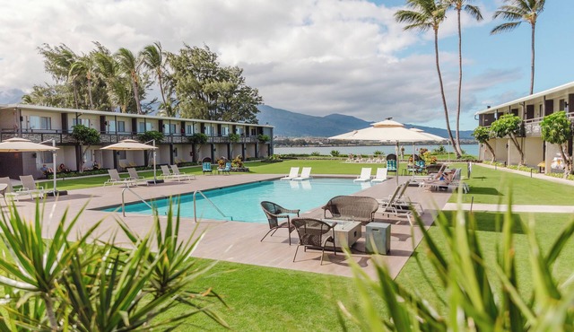 4 Chic Units | Near Ho'aloha Park Beach - 0.1 mi | Outdoor Pool | Pet-friendly