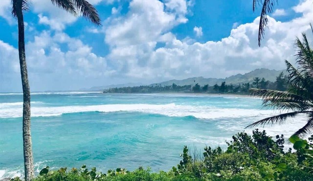 Aloha Manor is Elegant Gated Oceanfront Living!