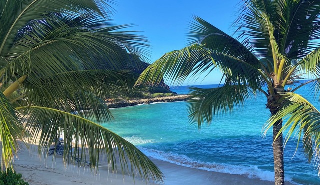 Beachfront Paradise Luxury condo Oahu Hawaii in Waianae
