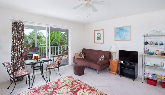 Beautiful, Spacious, Garden View Studio with Kitchenette. Wir Sprechen Deutsch.