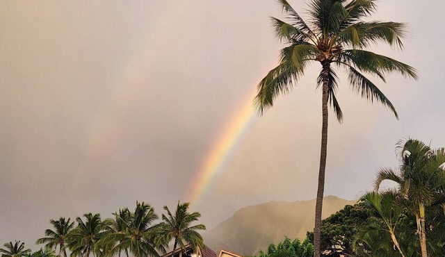 Beautifully renovated condo in paradise - car included! in Waianae