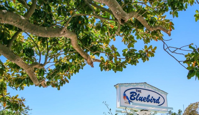 Bluebird Inn in Cambria