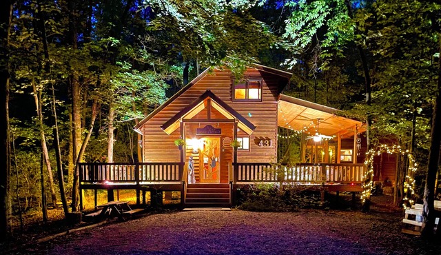 Bordering The National Forest. The Bear Affair Cabin. in Sautee Nacoochee