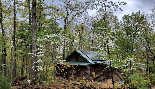 Cozy Cabin on 11 acres w/Lake&Mtn Views. wifi, great cell svc. & moderated AC. in Bristol
