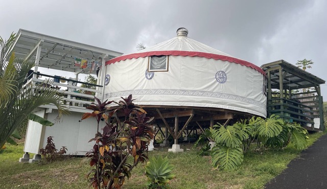 Cozy Yurt retreat on a Coffee Farm in Holualoa. 8 mn from the Beach & shopping in Holualoa