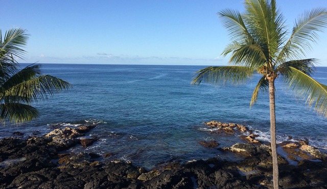 D35 Kona Reef - True Oceanfront & Top Floor! AC throughout! in Kailua-Kona