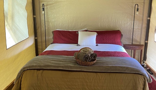 Glamping in Volcano in Volcano