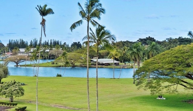 Hilo Lagoon Studio with cool AC, Amazing Views, Wi-Fi, Pool in Hilo
