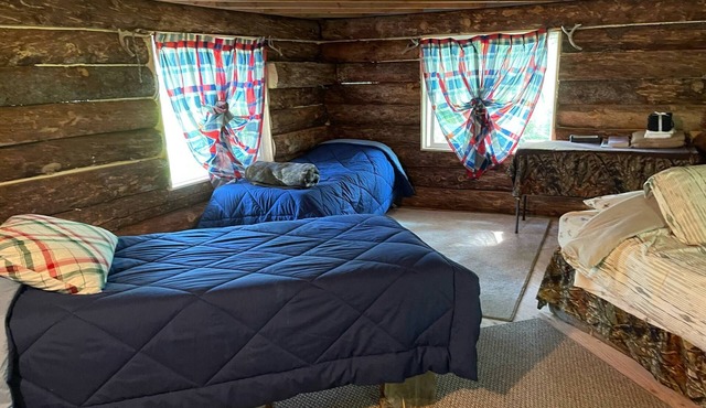 Interior Alaska vacation getaway. Secluded 1 bedroom cabin next to the river. in Chase