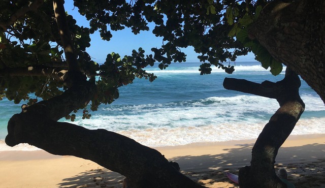 Jewel Of Sunset Point at world famous Sunset Beach in Haleiwa
