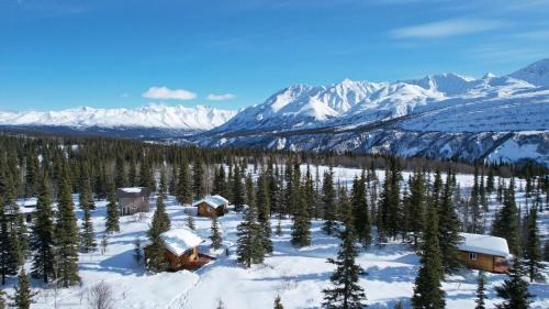 Little Bear Getaway Cabins in Glacier View