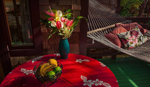 MAGICAL & COZY GEM! BIRDS, HUGE FERNS ABOUND IN NATIVE RAINFOREST. SO QUIET. in Volcano