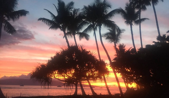 Maui, Lahaina Shores Resort; Studio+AC, Oceanfront property. in Lahaina