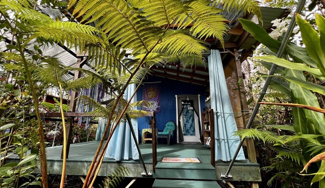 Mermaid Lair with Rainforest Shower! in Mountain View