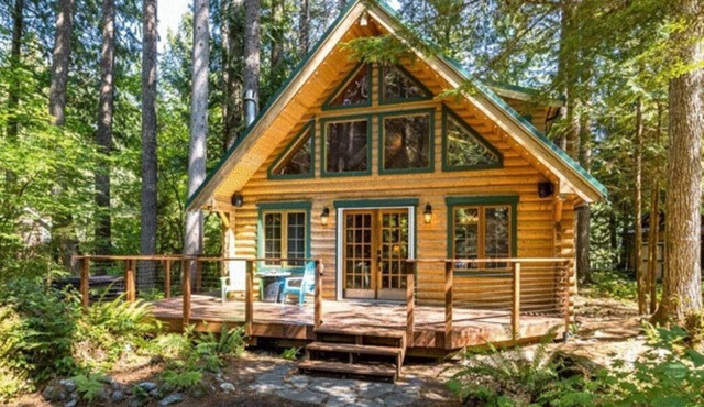 Perfect chalet accommodations tucked into the most wonderful towering trees! in Deming
