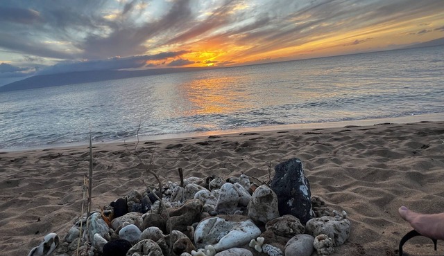 Quiet Retreat Largest 2/2 Villa sleeps 6 Maui’s Best Beach! in Lahaina