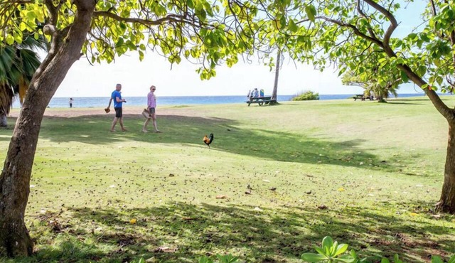 Regency at Poipu Kai 823 | Spacious 3BR Townhome Near Poipu Beach in Koloa