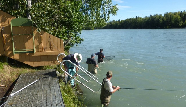 Right on the Kenai River! Comfortable condo great for fishing or sightseeing in Soldotna