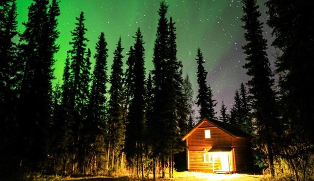 The Cabin in the Woods 3 森林小屋 3 in Fairbanks