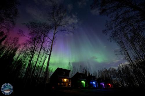 The Meandering Moose - Frontier Village in Fairbanks