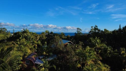 Tiny House & Sauna-Walk to Kehena Beach - Close to Lava Hot Springs in Pahoa