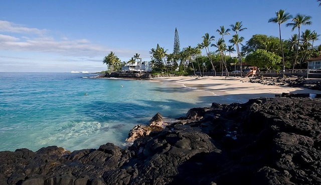 Tropical Escape l 2 Rooms, Beach Access, Free Bikes, Pool & Pet-Friendly Stay in Kailua-Kona