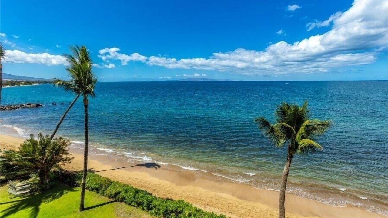 Photo of Others in Kihei