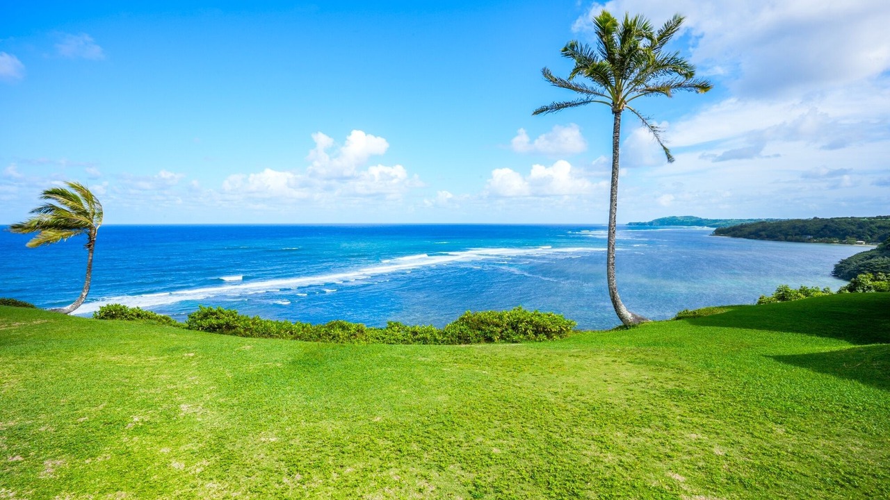 Photo of Outdoor in Princeville