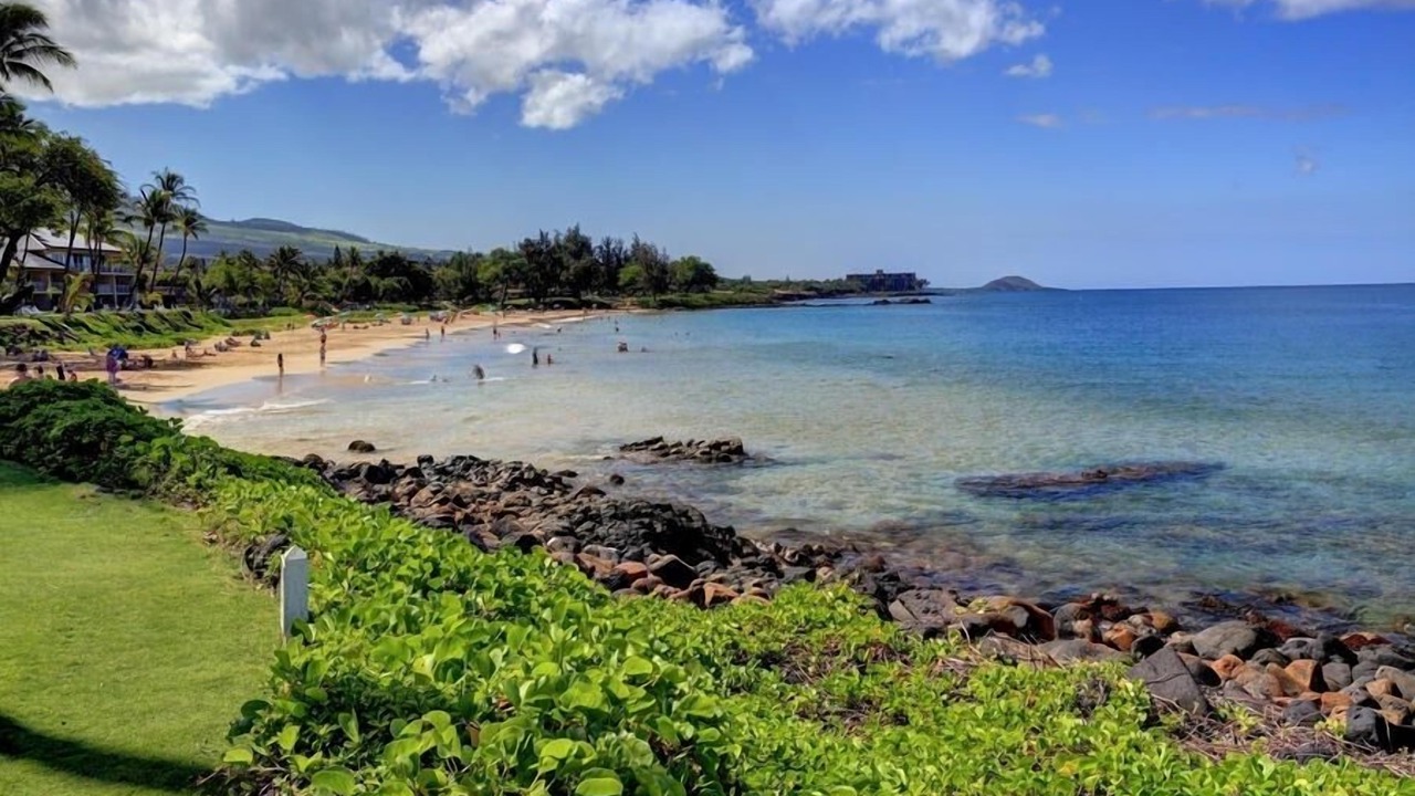 Photo of Others in Kihei