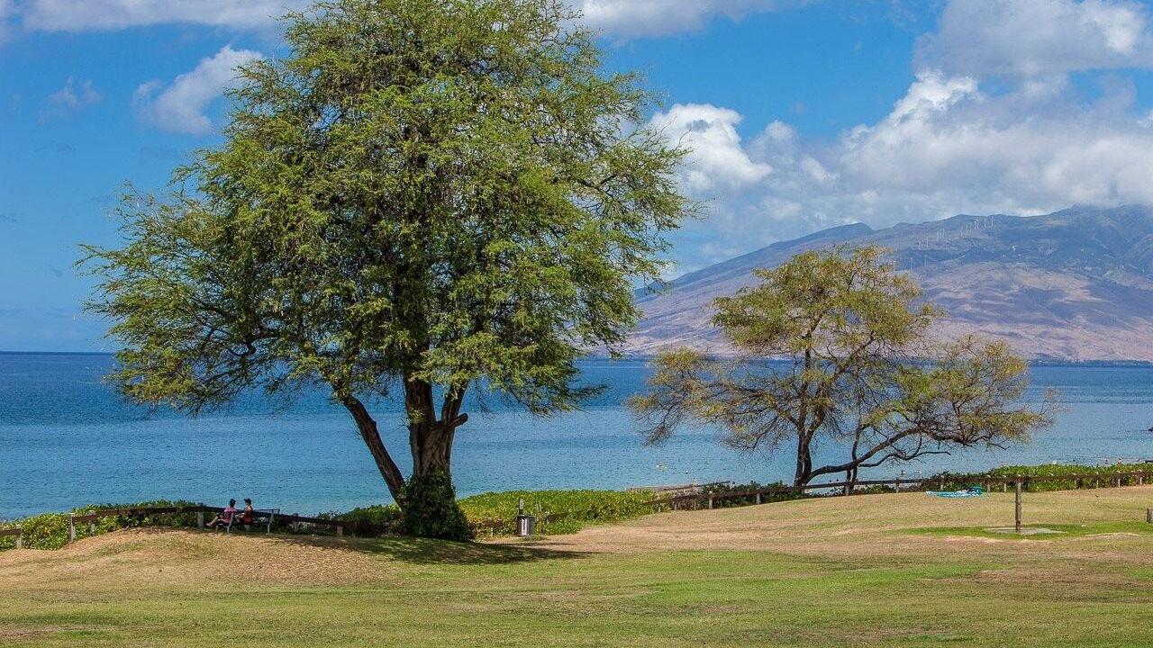 Photo of Others in Kihei