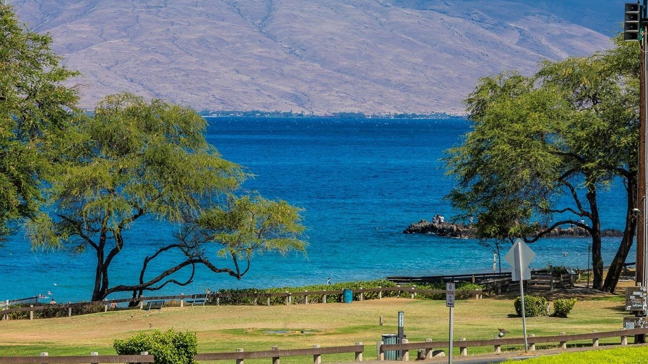 Photo of Others in Kihei