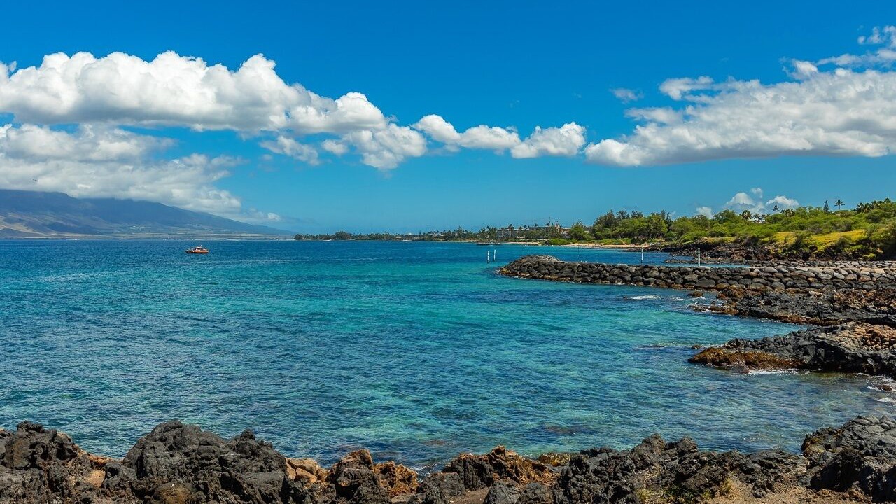 Photo of Others in Kihei