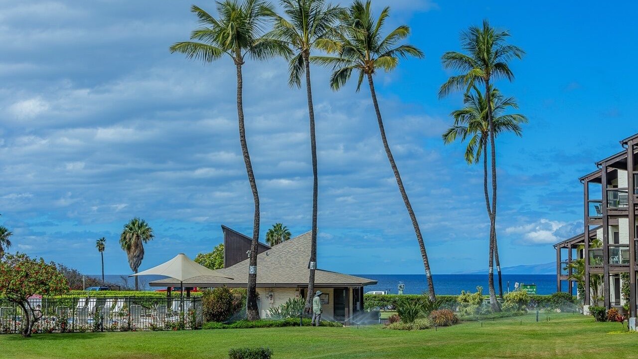 Photo of Outdoor in Kihei