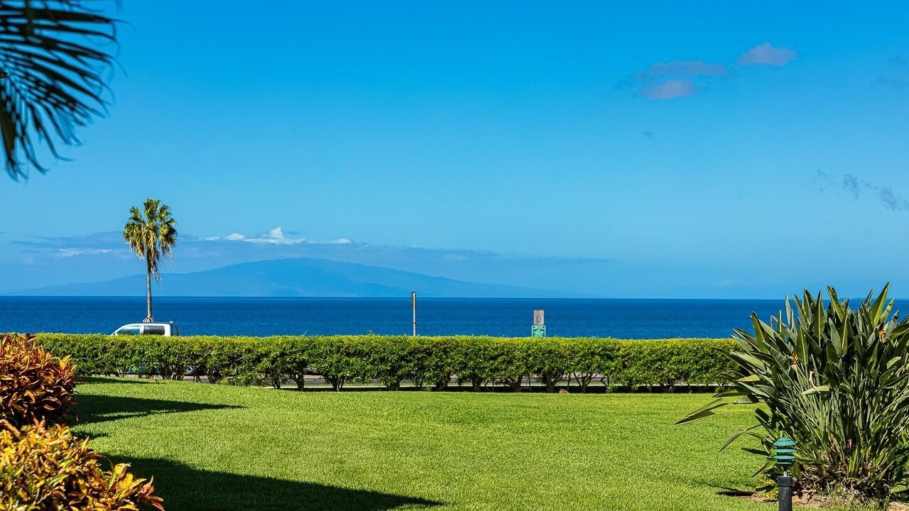 Photo of Others in Kihei