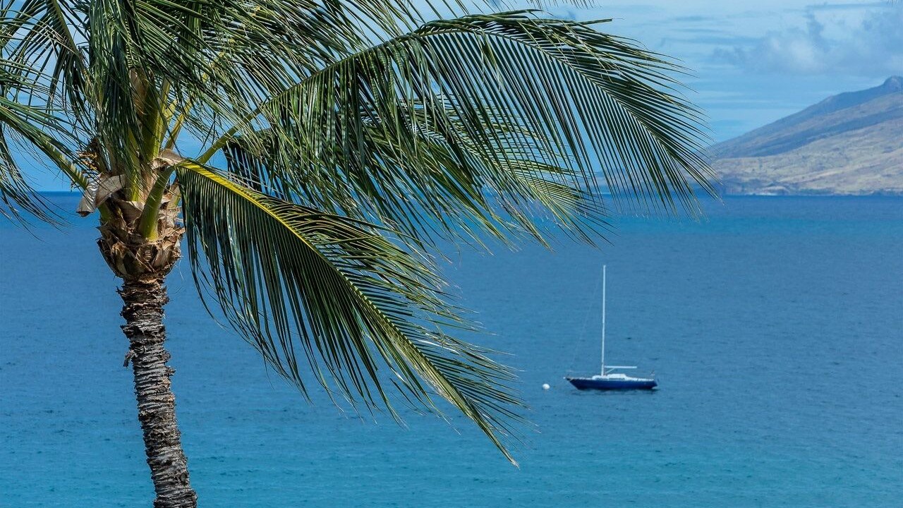 Photo of Others in Kihei