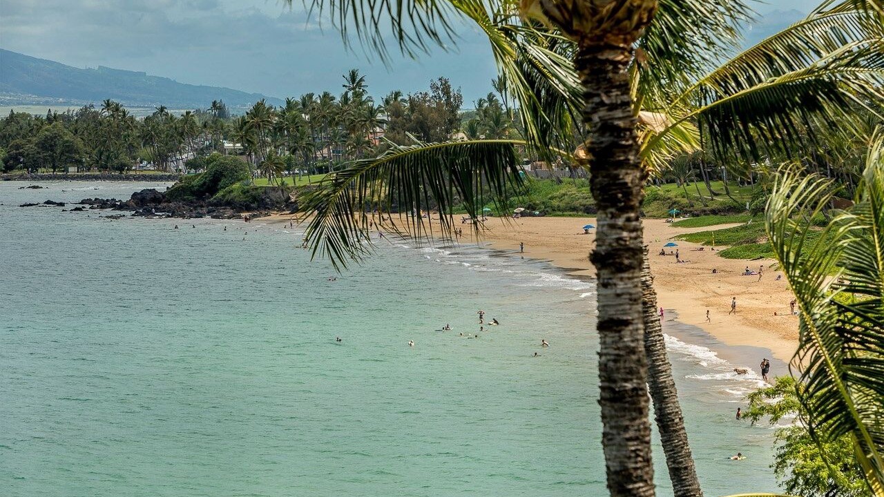 Photo of Others in Kihei
