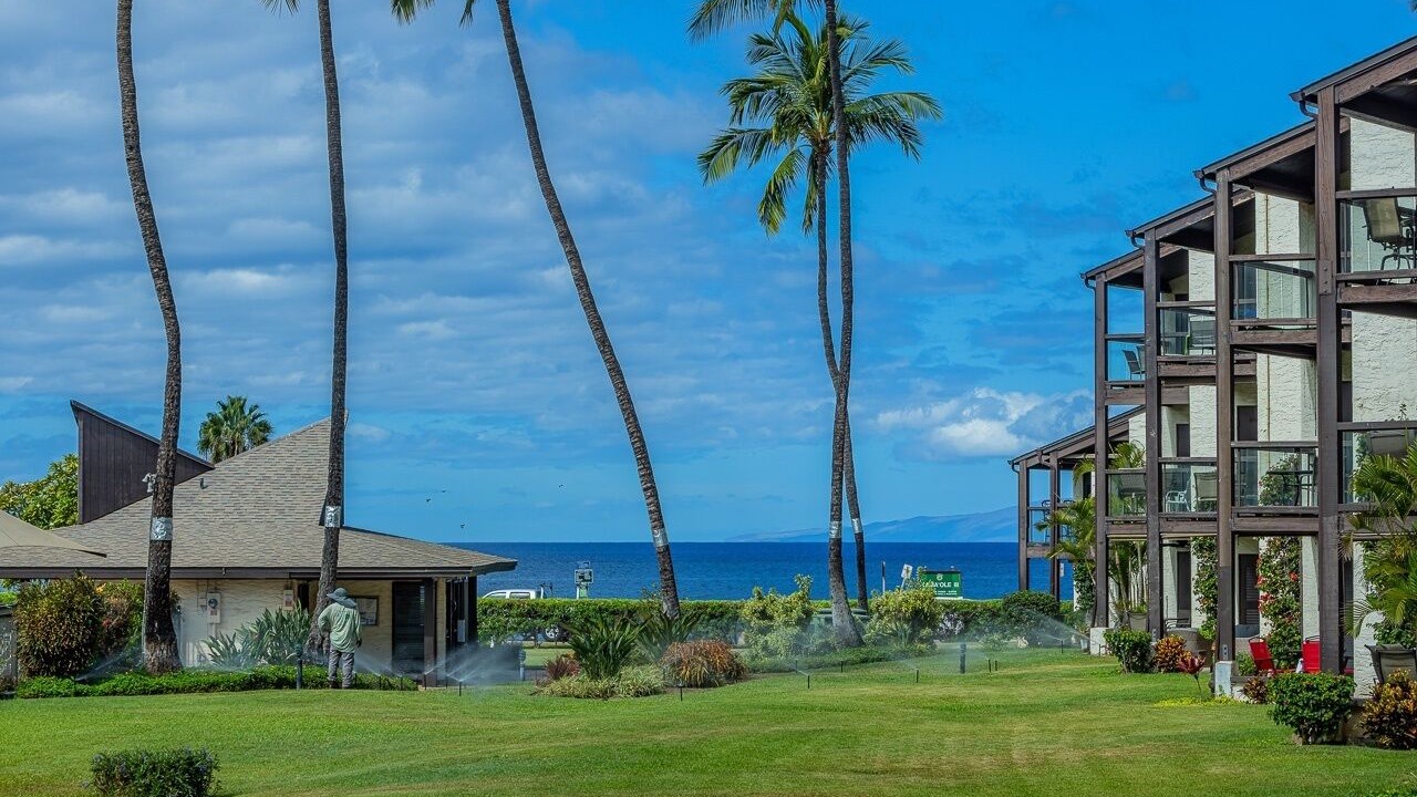 Photo of Outdoor in Kihei